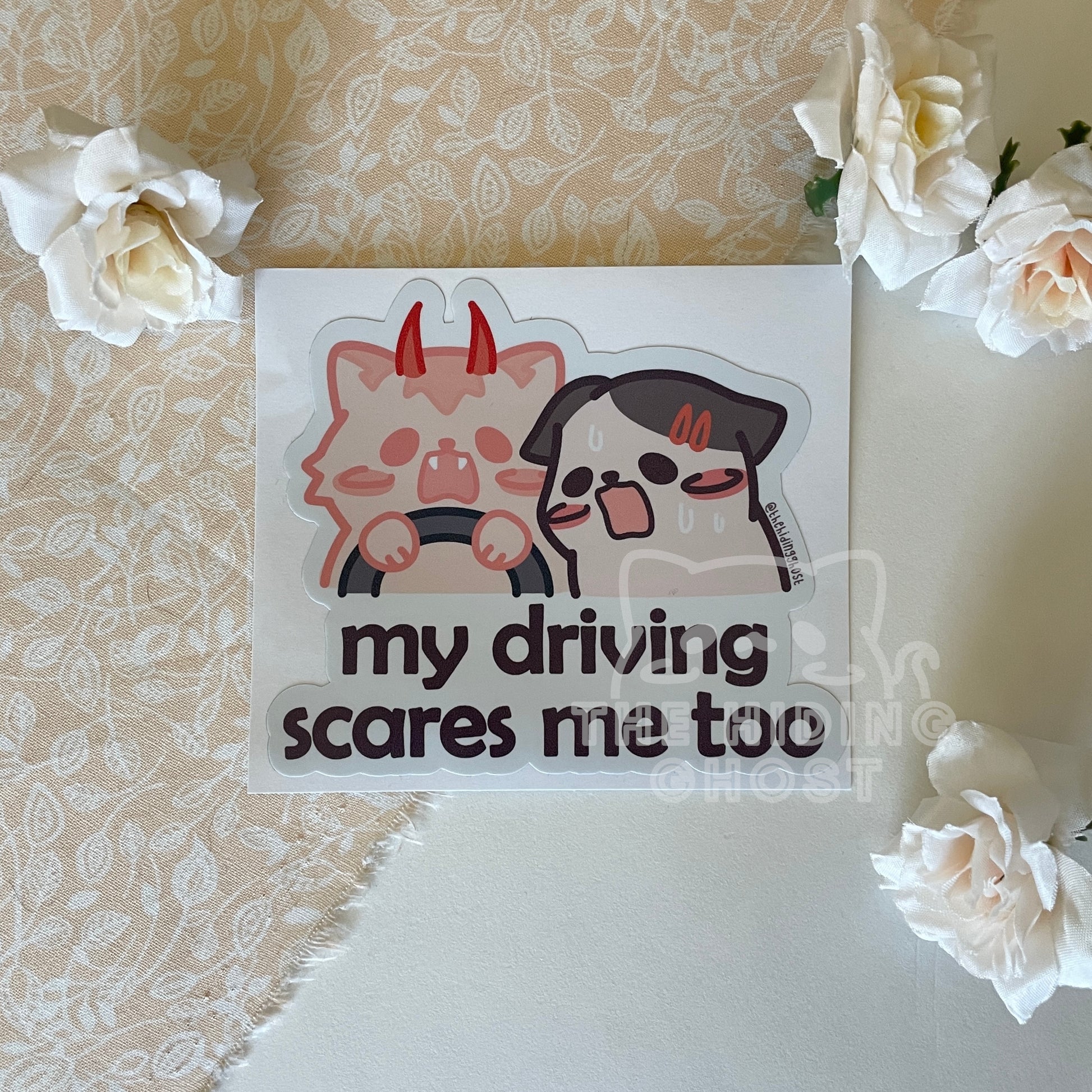 Nice Driver Car Sticker New Driver Please Be Kind Funny Sticker Self Learner per le Ragazze Sticker Segni Driver Adesivi Nice Driver Car Sticker New Driver Please Be Kind Funny Sticker Self Learner per le Ragazze Sticker Segni Driver Adesivi